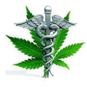 Navigator Genomics™ Testing