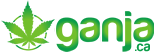 Ganja