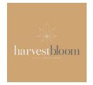 Harvest Bloom