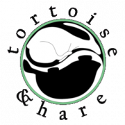 Tortoise & Hare Delivery Services