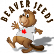 Beaver Seeds