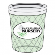 Paul's Boutique Nursery