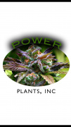 Power Plants Inc