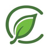 Curaleaf - Tallahassee