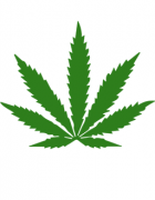 Carmel Valley Original