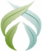 Foster Buds - NE Glisan