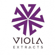 Viola