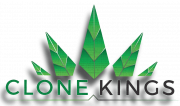Clone Kings
