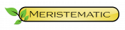MERISTEMATIC LABS