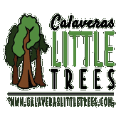 Calaveras Little Trees