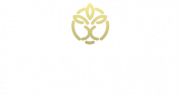 Panther Wellness