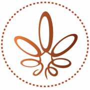 The Holistic Cannabis Academy