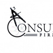 A2 Consulting Firm LLC