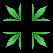 Herbal Relief Collective