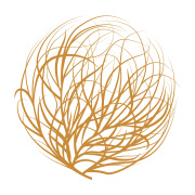 Tumbleweed - Parachute