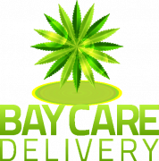 Bay Care Delivery