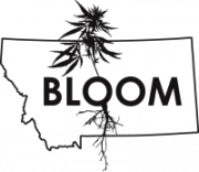 Bloom - Billings