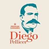 Diego Pellicer - South Denver