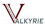 Valkyrie Security and Asset Protection Inc.