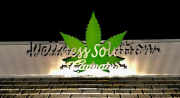 Wellness Solution