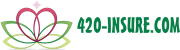 420-INSURE.COM