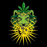 Alchemy Gold Healing