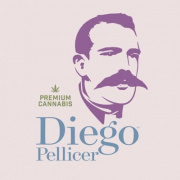 Diego Pellicer - Denver