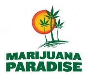 Marijuana Paradise
