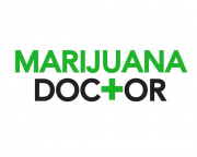 Marijuana Doctor