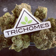 Trichomes