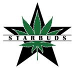 Starbuds Aurora