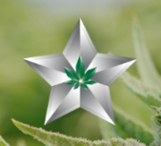 Silver Star Protection Group – California