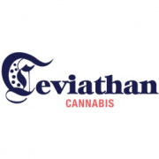 Leviathan Cannabis Group Inc.