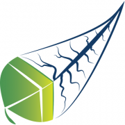 Inform Environmental