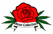 Rose Collective Pre-ICO