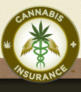 Statewide Insurance Services