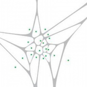 Manifold Architecture