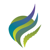 Great Northern Cannabis – Downtown