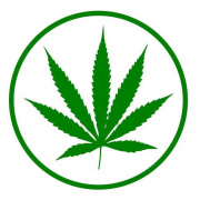 MJ Expresso - Las Cruces