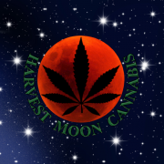 Harvest Moon Cannabis Florence