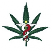 Cannabis Doctors of New York