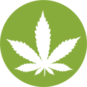 Plant Family Therapeutics