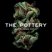 The Pottery - Medical