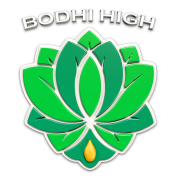 Bodhi High