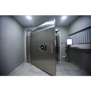 International Vault Inc.