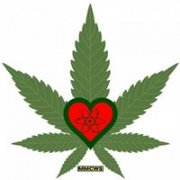 Medical Marijuana Coalition of Washington State