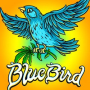 Blue Bird Delivery - Dana Point