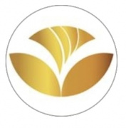 Camo Collective Gardens