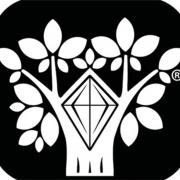 DiamondTree - Madras