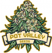 Pot Valley